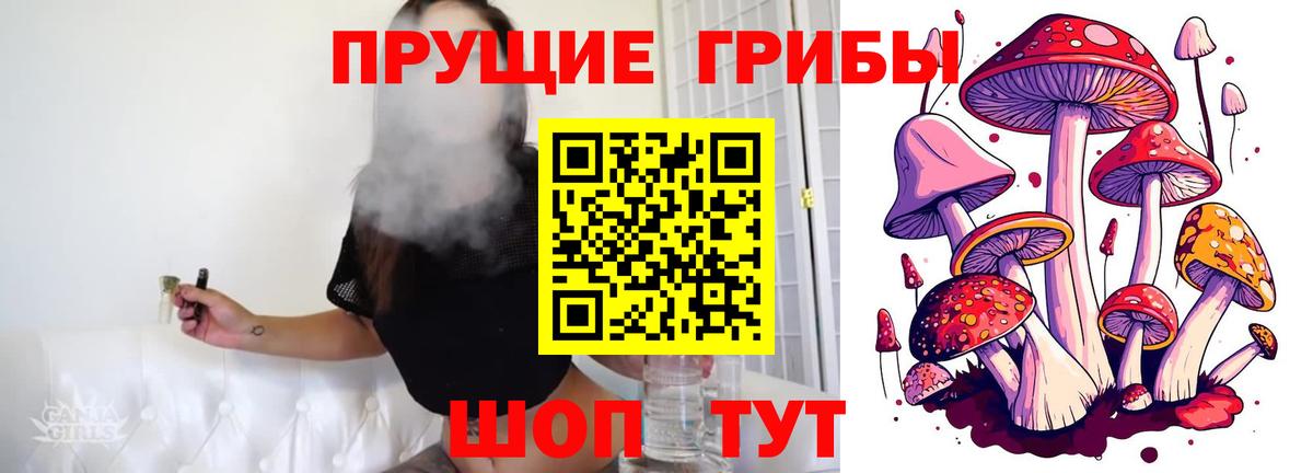 Ефремов  Псилоцибиновые грибы Psilocybine cubensis  Вход с VPN 